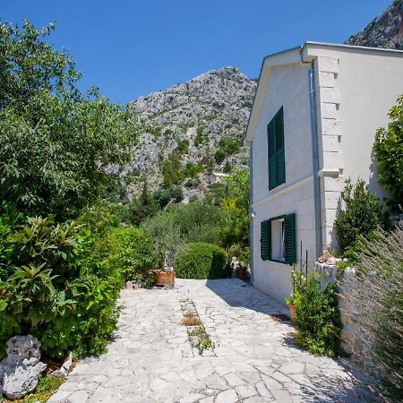 Luxurious Holiday Home In Makarska With Jacuzzi Buitenkant foto