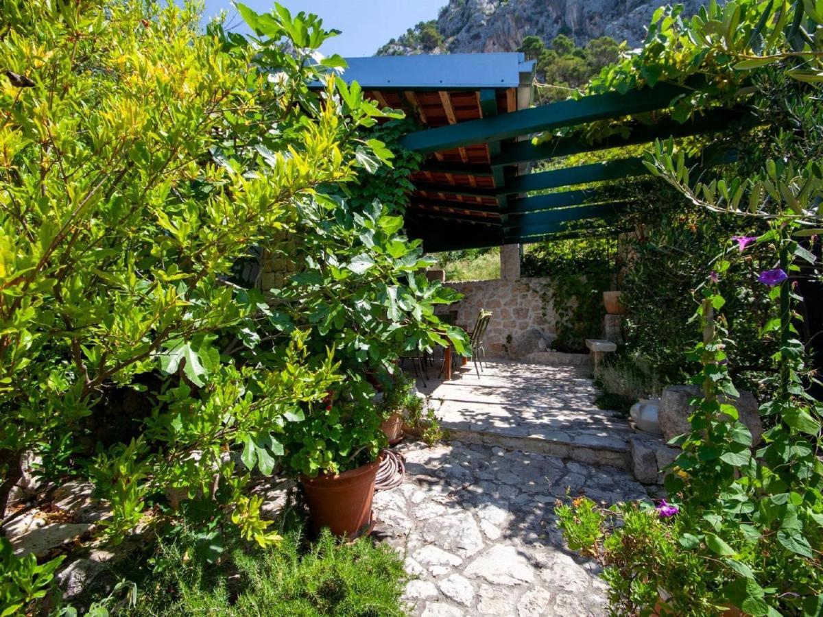 Luxurious Holiday Home In Makarska With Jacuzzi Buitenkant foto