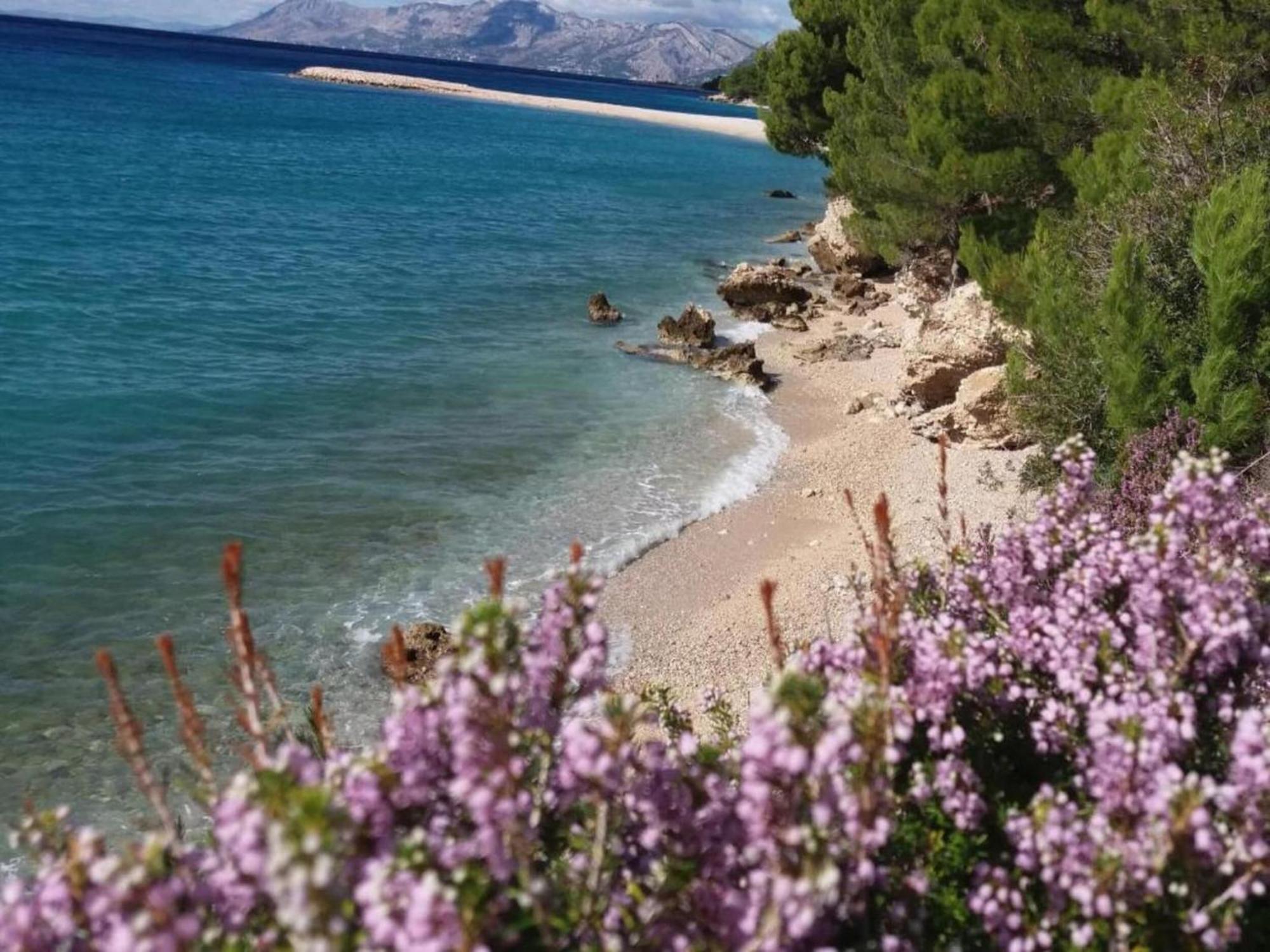 Luxurious Holiday Home In Makarska With Jacuzzi Buitenkant foto